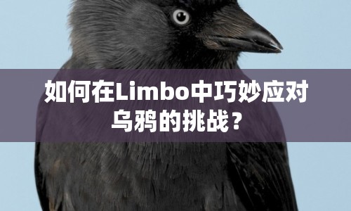 如何在Limbo中巧妙應(yīng)對(duì)烏鴉的挑戰(zhàn)？