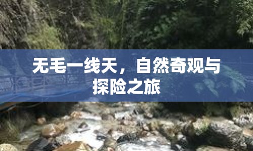 無毛一線天，自然奇觀與探險之旅