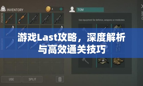游戲Last攻略，深度解析與高效通關(guān)技巧