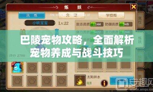 巴陵寵物攻略，全面解析寵物養(yǎng)成與戰(zhàn)斗技巧