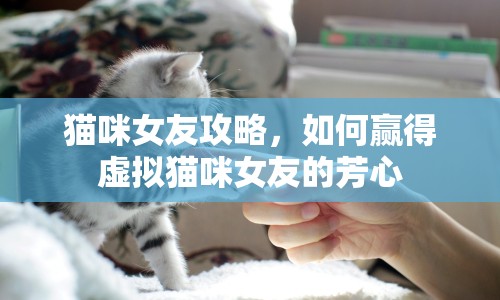 貓咪女友攻略，如何贏得虛擬貓咪女友的芳心