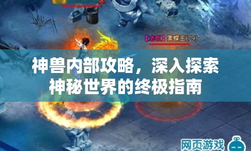 神獸內(nèi)部攻略，深入探索神秘世界的終極指南