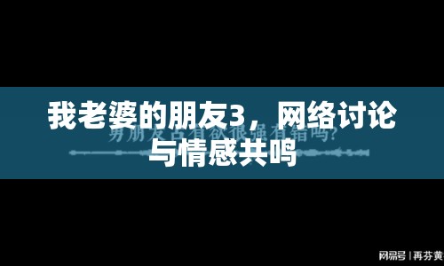 我老婆的朋友3，網(wǎng)絡(luò)討論與情感共鳴