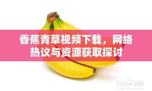 香蕉青草視頻下載，網(wǎng)絡(luò)熱議與資源獲取探討