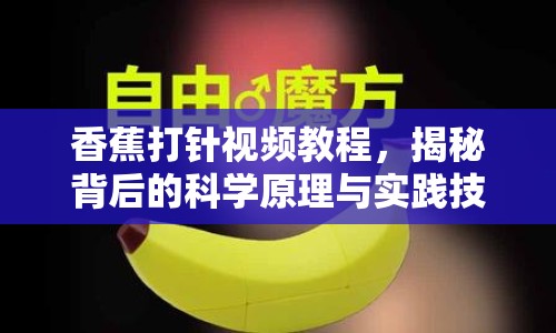 香蕉打針視頻教程，揭秘背后的科學(xué)原理與實(shí)踐技巧