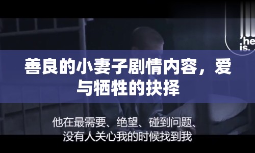 善良的小妻子劇情內(nèi)容，愛與犧牲的抉擇