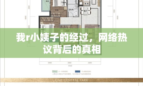 我r小姨子的經(jīng)過，網(wǎng)絡熱議背后的真相