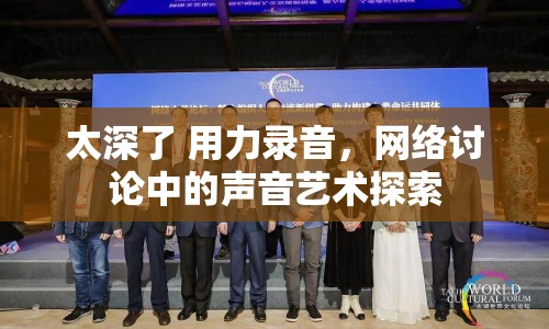 太深了 用力錄音，網(wǎng)絡(luò)討論中的聲音藝術(shù)探索