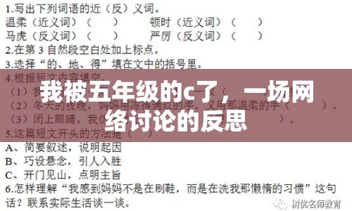 我被五年級的c了，一場網(wǎng)絡(luò)討論的反思