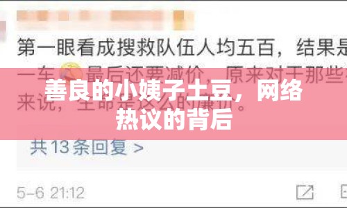 善良的小姨子土豆，網(wǎng)絡(luò)熱議的背后