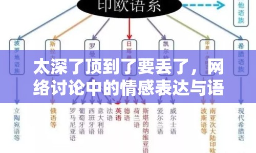 太深了頂?shù)搅艘獊G了，網(wǎng)絡(luò)討論中的情感表達(dá)與語言演變