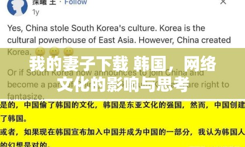 我的妻子下載 韓國，網絡文化的影響與思考