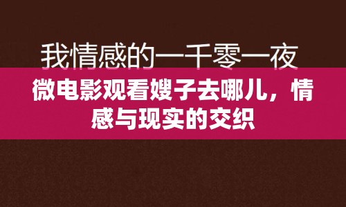 微電影觀看嫂子去哪兒，情感與現(xiàn)實(shí)的交織
