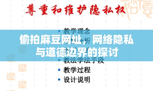 偷拍麻豆網(wǎng)址，網(wǎng)絡(luò)隱私與道德邊界的探討