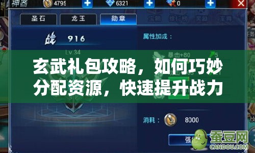 玄武禮包攻略，如何巧妙分配資源，快速提升戰(zhàn)力？