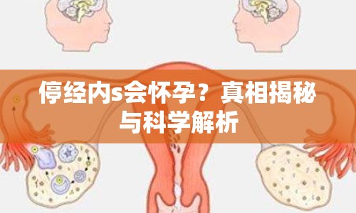 停經(jīng)內(nèi)s會懷孕？真相揭秘與科學解析