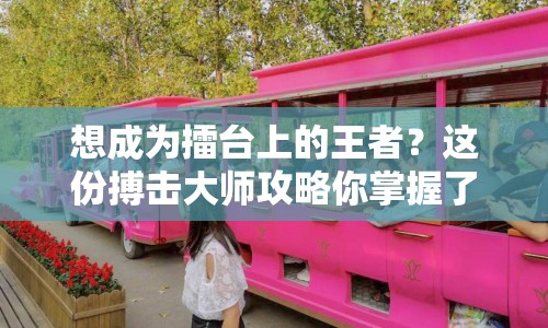 想成為擂臺上的王者？這份搏擊大師攻略你掌握了嗎？
