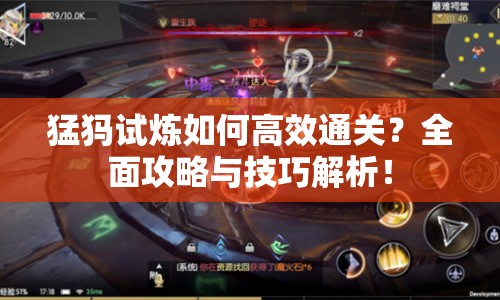 猛犸試煉如何高效通關(guān)？全面攻略與技巧解析！