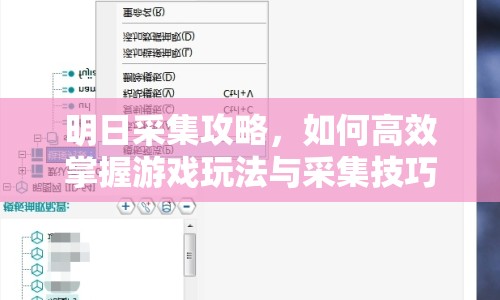 明日采集攻略，如何高效掌握游戲玩法與采集技巧？
