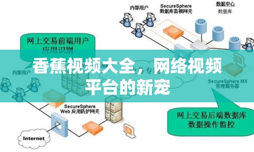 香蕉視頻大全，網(wǎng)絡(luò)視頻平臺的新寵
