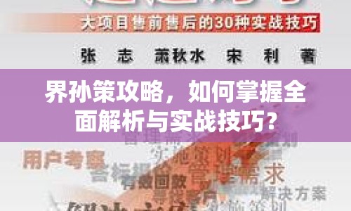 界孫策攻略，如何掌握全面解析與實戰(zhàn)技巧？
