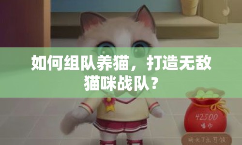 如何組隊(duì)養(yǎng)貓，打造無(wú)敵貓咪戰(zhàn)隊(duì)？