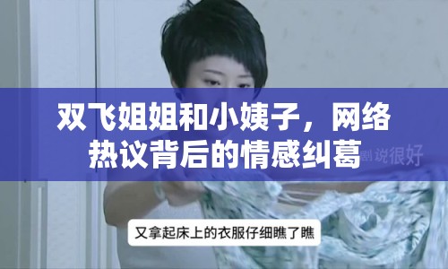 雙飛姐姐和小姨子，網(wǎng)絡(luò)熱議背后的情感糾葛