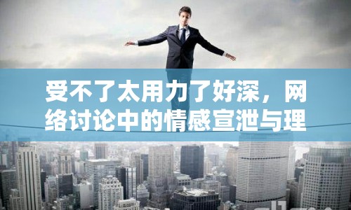 受不了太用力了好深，網(wǎng)絡(luò)討論中的情感宣泄與理性邊界