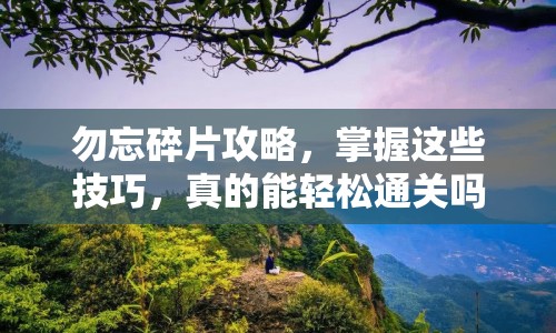 勿忘碎片攻略，掌握這些技巧，真的能輕松通關(guān)嗎？
