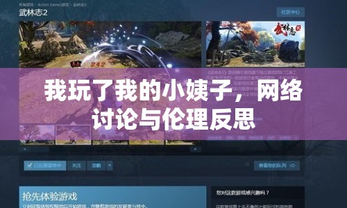 我玩了我的小姨子，網(wǎng)絡(luò)討論與倫理反思