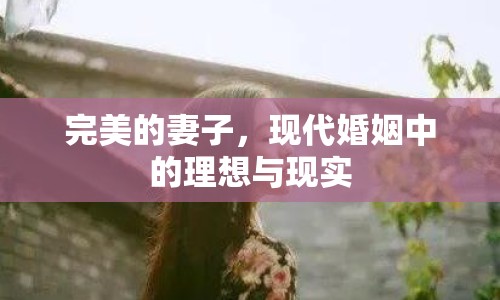 完美的妻子，現(xiàn)代婚姻中的理想與現(xiàn)實(shí)