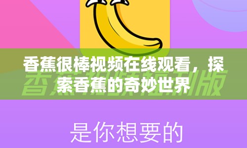 香蕉很棒視頻在線觀看，探索香蕉的奇妙世界