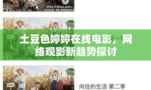 土豆色婷婷在線電影，網(wǎng)絡(luò)觀影新趨勢(shì)探討