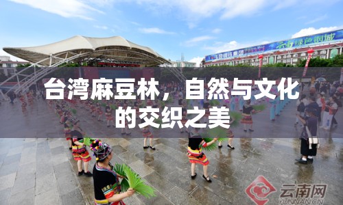 臺灣麻豆林，自然與文化的交織之美