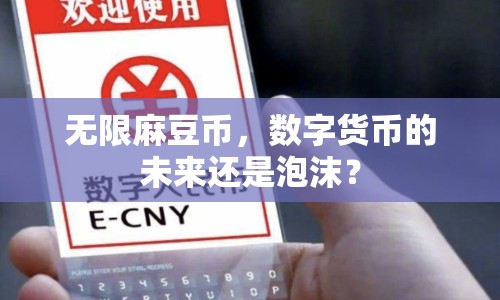 無限麻豆幣，數(shù)字貨幣的未來還是泡沫？
