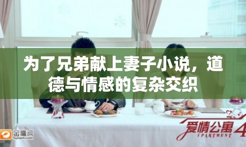 為了兄弟獻(xiàn)上妻子小說，道德與情感的復(fù)雜交織