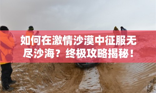 如何在激情沙漠中征服無盡沙海？終極攻略揭秘！