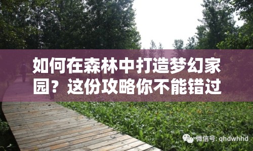 如何在森林中打造夢幻家園？這份攻略你不能錯過！