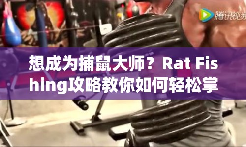 想成為捕鼠大師？Rat Fishing攻略教你如何輕松掌握技巧！