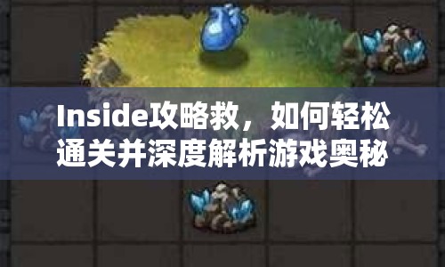 Inside攻略救，如何輕松通關(guān)并深度解析游戲奧秘？