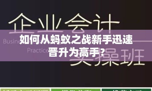 如何從螞蟻之戰(zhàn)新手迅速晉升為高手？