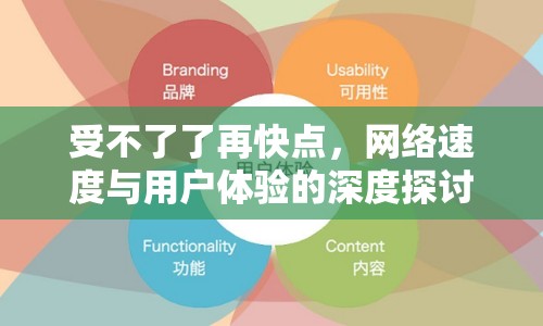 受不了了再快點(diǎn)，網(wǎng)絡(luò)速度與用戶體驗(yàn)的深度探討