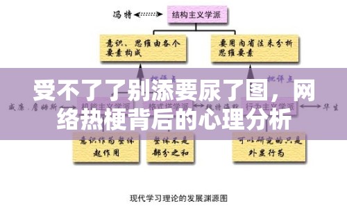 受不了了別添要尿了圖，網(wǎng)絡(luò)熱梗背后的心理分析