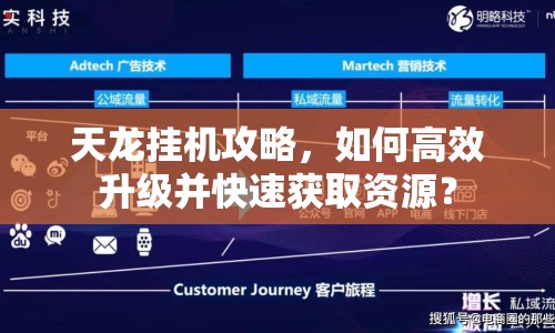 天龍掛機(jī)攻略，如何高效升級并快速獲取資源？