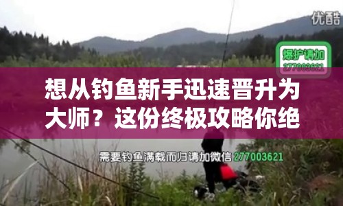想從釣魚新手迅速晉升為大師？這份終極攻略你絕對不能錯過！