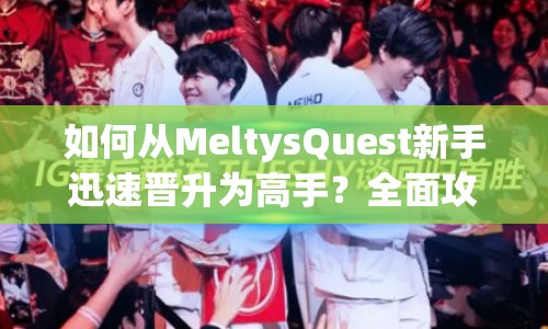 如何從MeltysQuest新手迅速晉升為高手？全面攻略流程揭秘！