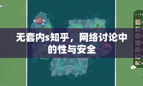 無(wú)套內(nèi)s知乎，網(wǎng)絡(luò)討論中的性與安全