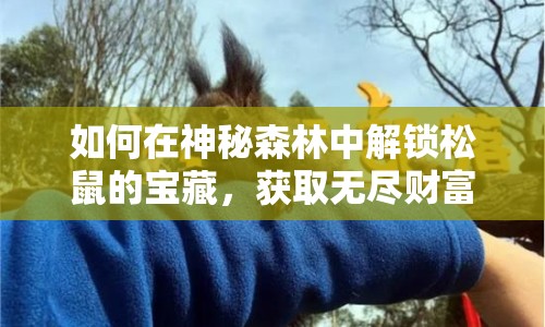 如何在神秘森林中解鎖松鼠的寶藏，獲取無盡財(cái)富？