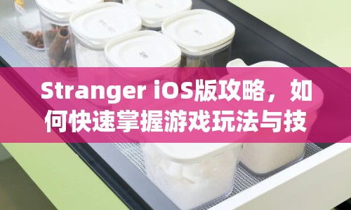 Stranger iOS版攻略，如何快速掌握游戲玩法與技巧？