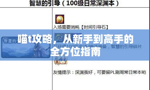 喵t攻略，從新手到高手的全方位指南